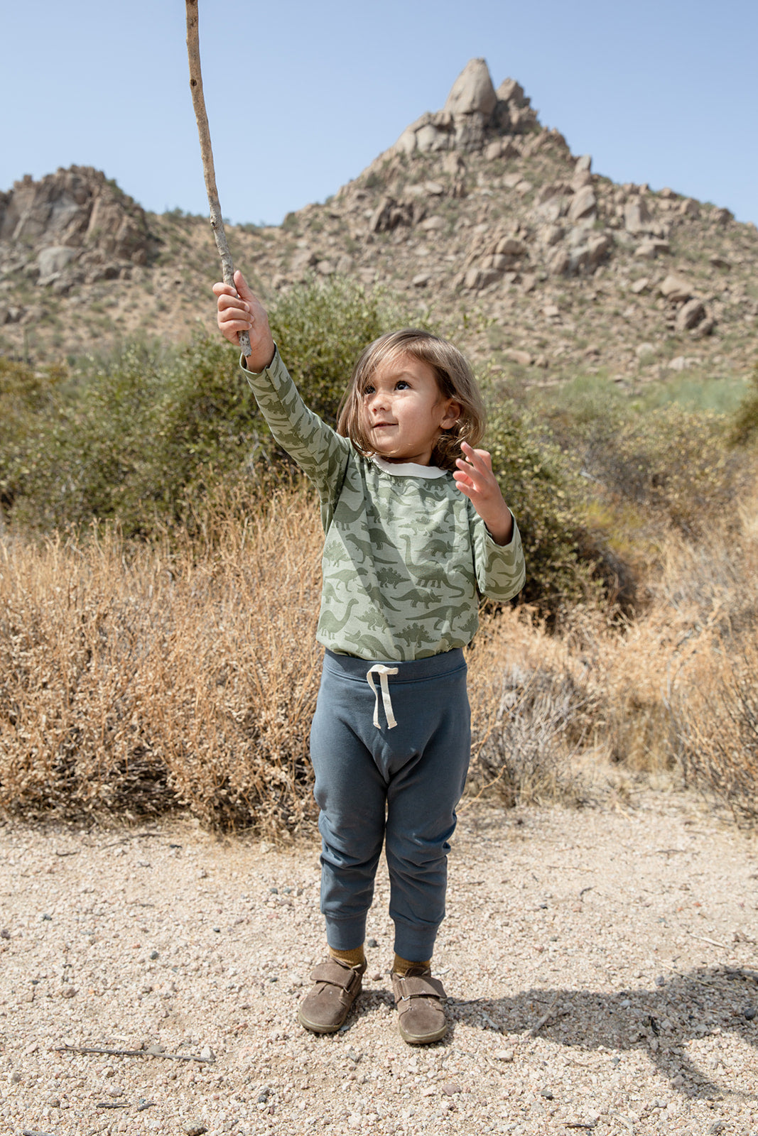 Long-Sleeve Tee, Dinosaurs Sage