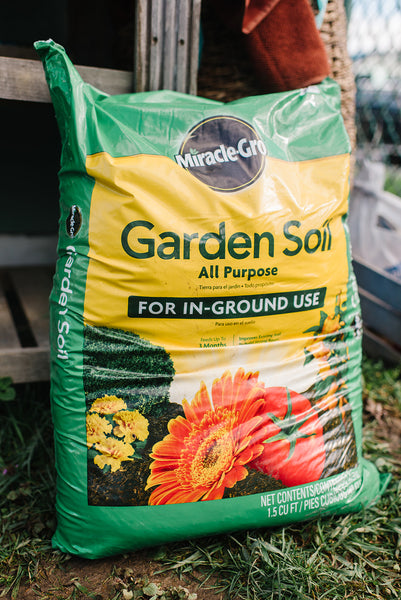 Potting Soil Salsa Garden