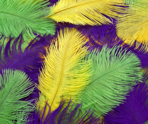 Mardi Gras and Ostrich Feathers - American Ostrich Farms