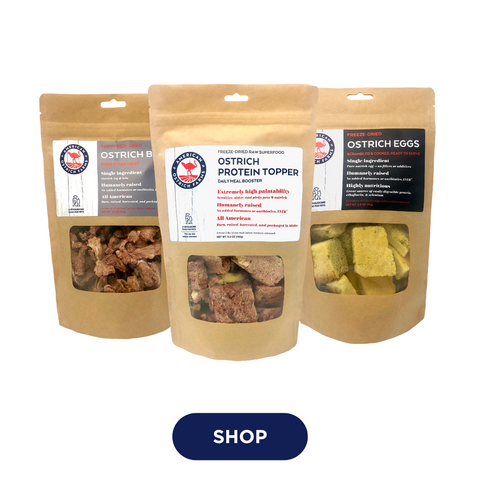 ostrich pet treats