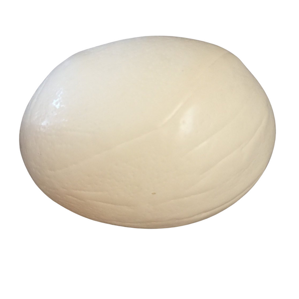 Large White Blown Ostrich Egg, 6 Inches Tall, 17 inch Circum. one hole