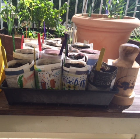 Newspaper pots with pot maker on bench