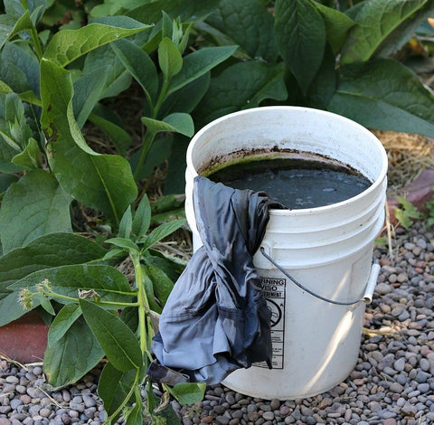 Using Comfrey to Make Compost Tea