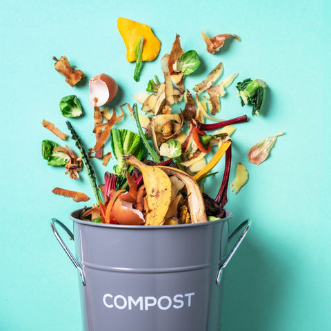compost bucket with vegetable scraps