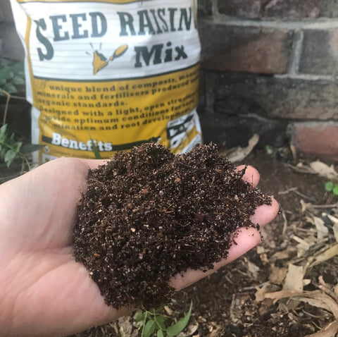 seed raising mix in hand