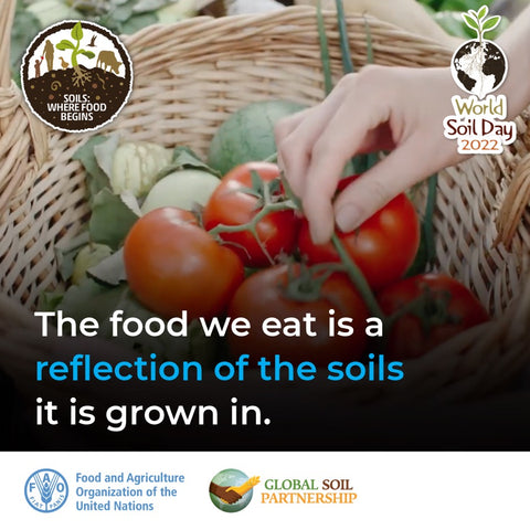 The food we eat is a reflection of the soil