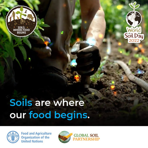 Soils are where food begins