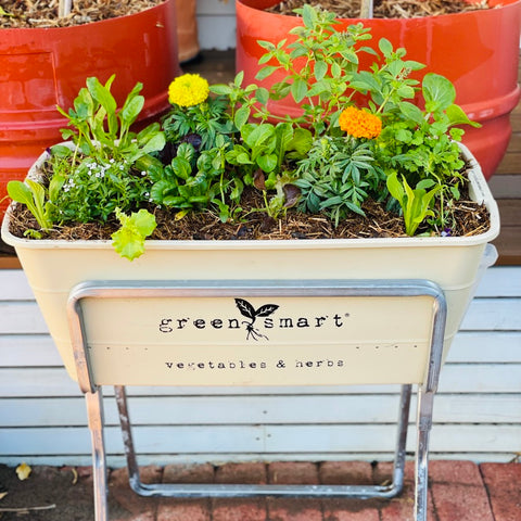 Greensmart pot with marigolds