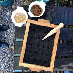 Seedling flat ready to sow seeds