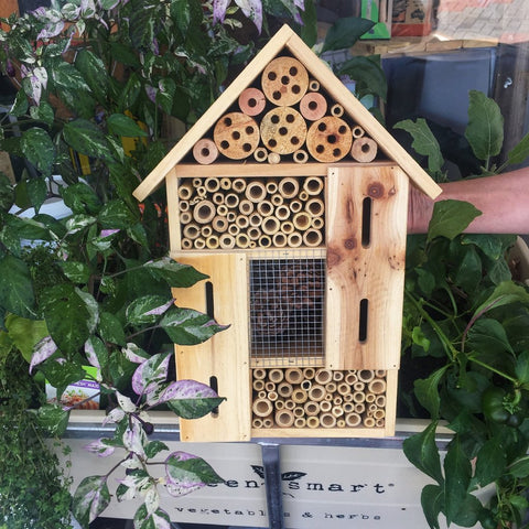 Insect and bee hotel