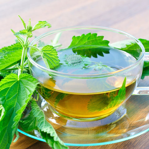 Stinging Nettle Tea