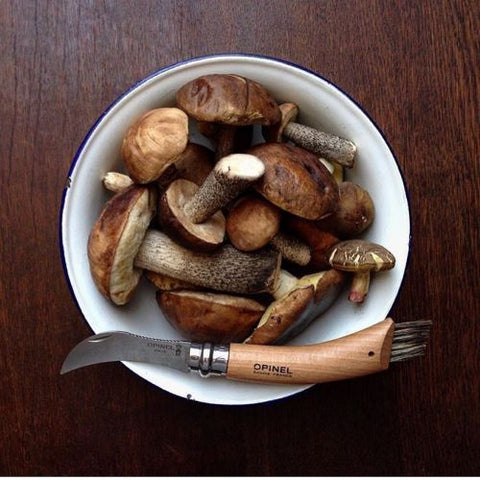 Mushroom knife with a bowl of mushrooms