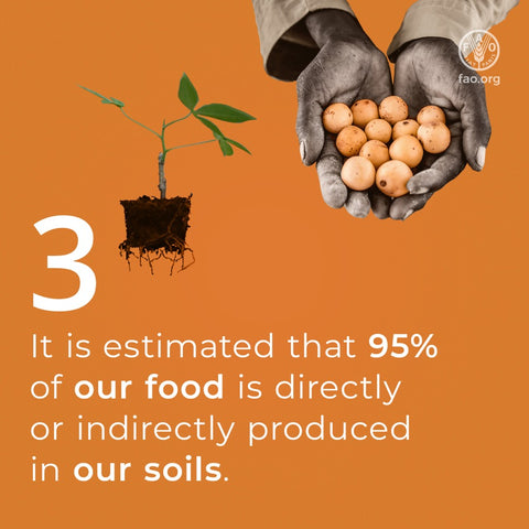 Food is produced by soil