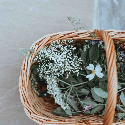 Basket of cut flowers
