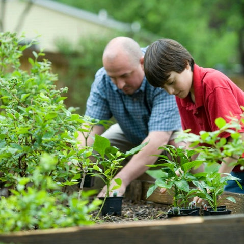 Man and boy gardening together