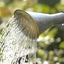 waterfall watering can