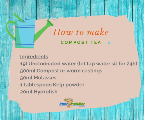 How to make compost tea graphic