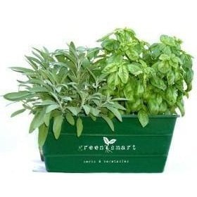 Greensmart self watering pot with herbs