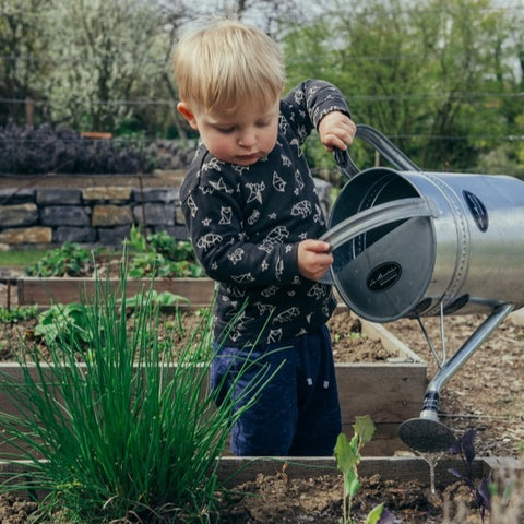 Small boy using watering can