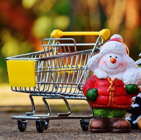 Christmas elf and shopping trolley
