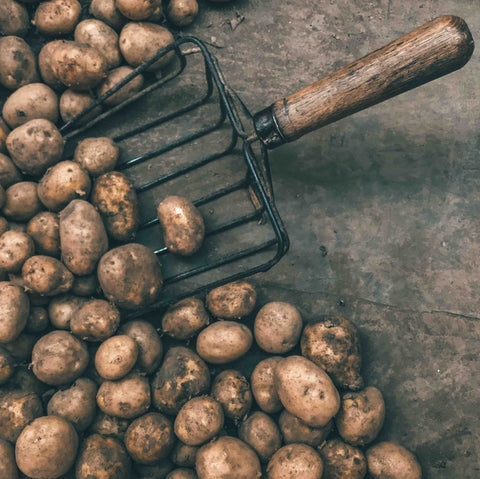 potatoes with fork