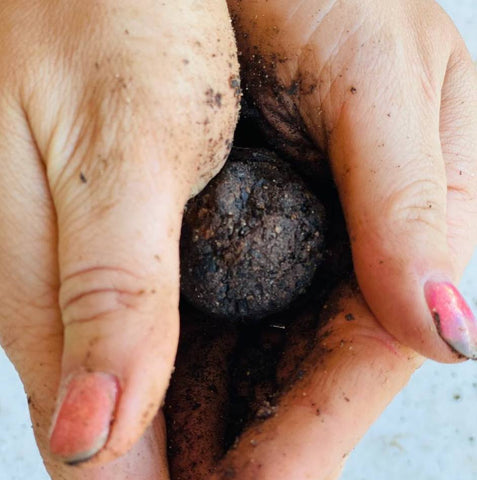 Seed bomb in hands