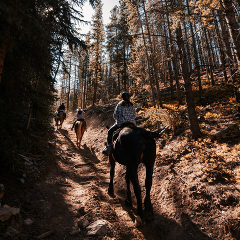 Experience gift trail ride