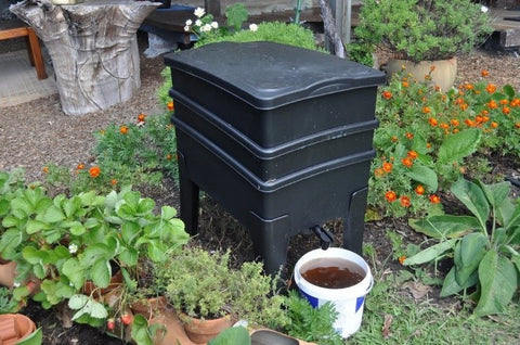 worm farm in urban garden