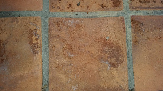 Mild Efflorescence found on Rustic Pavers used for an exterior walk