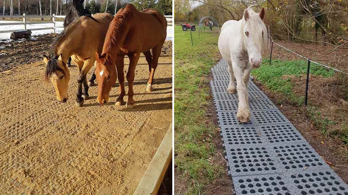 Mud Management Panels for Horses and Livestock — Paramount Materials