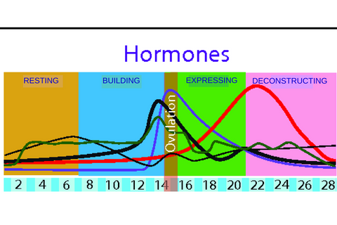 hormone chart https://28moons4s4w.com