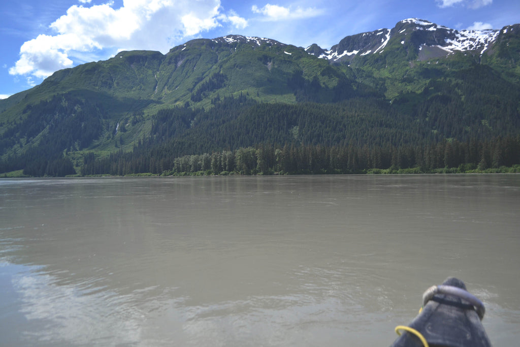 Stikine River, Alaska