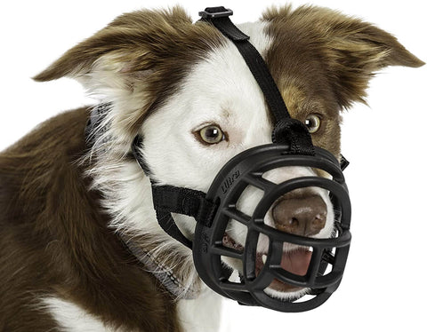 Dog Muzzles