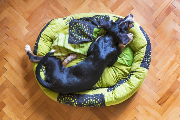 Dog bed waterproof