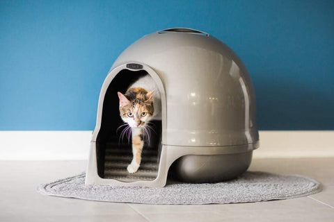 Petmate Booda Dome Clean Step Cat Litter Box 