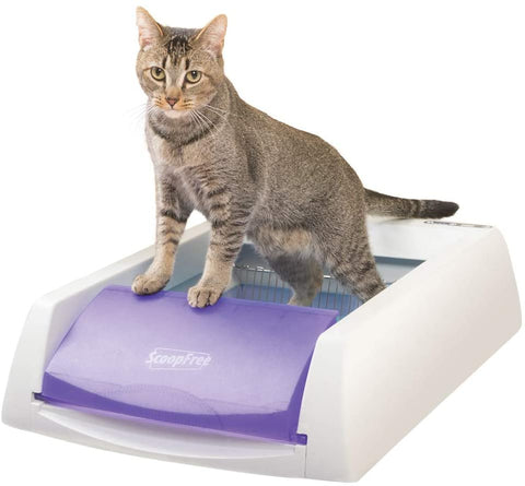 PetSafe ScoopFree Automatic Self Cleaning Cat Litter Box