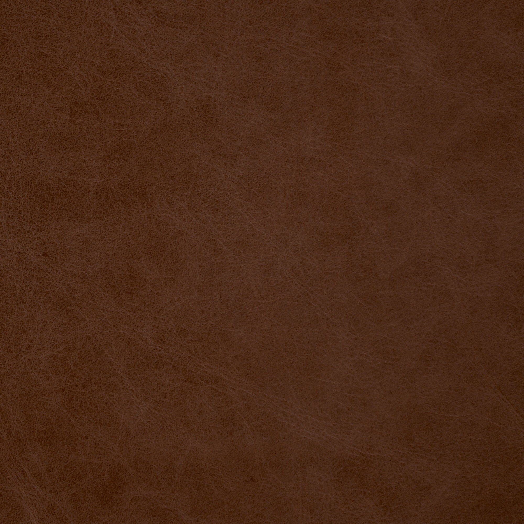 Cognac Salerno Leather - Swatch - Tandem Arbor