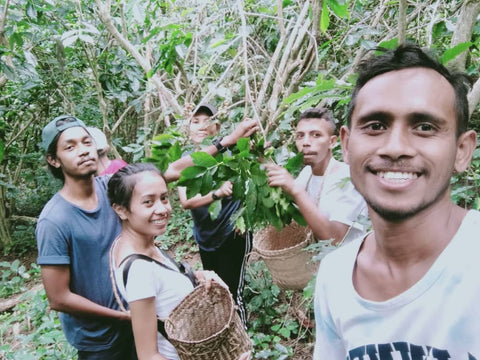Coffee plantation organic fairtrade social enterprise