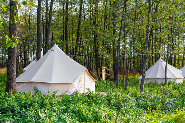 glamping in forest