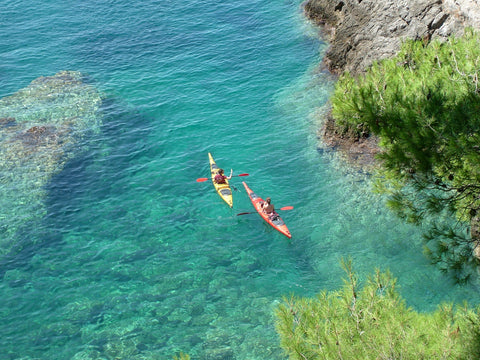 Kayaking at Balmoral Beach