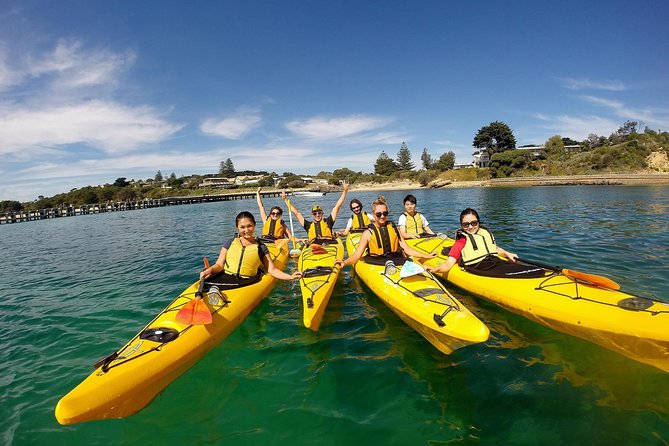 Port Phillip Bay VIC kayaking