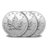 Silver Leafs.png__PID:6ed642a1-833b-4996-be82-32e1a29731d6