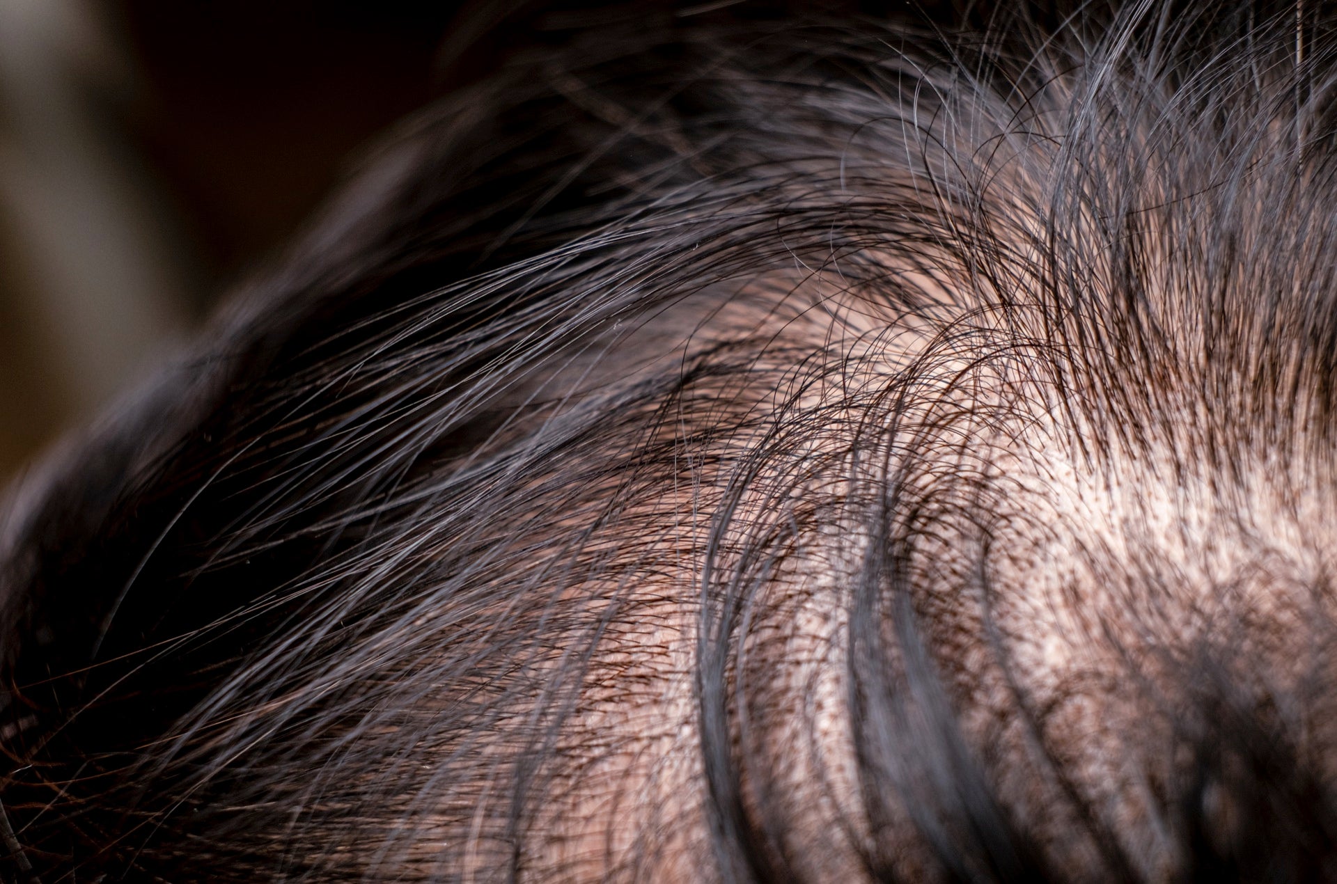 Macro shot of thin hair displaying its intricate patterns and the sheen added by hair styling products.