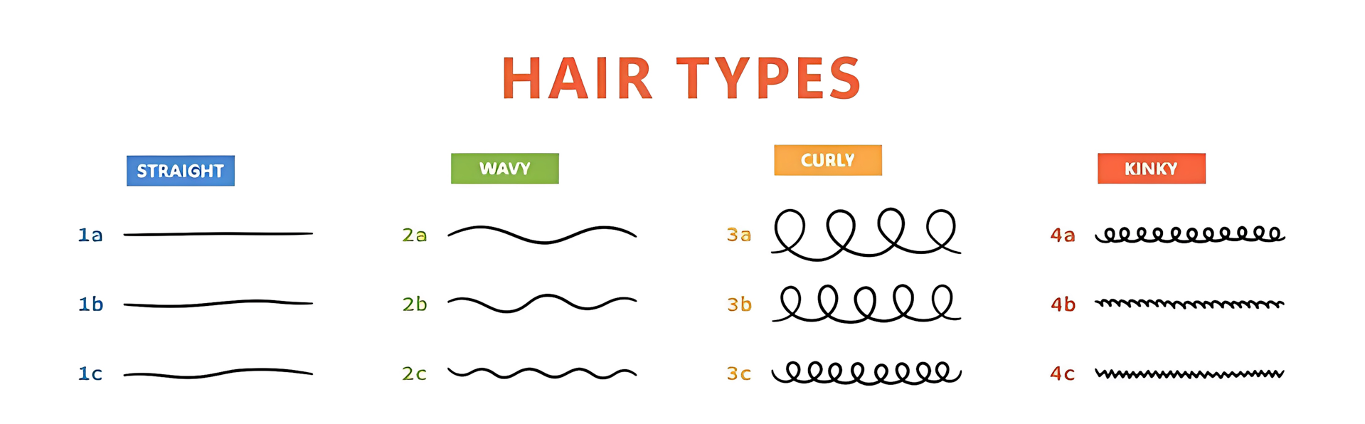 Infographic illustrating different hair types, captioned with 'What is my hair type?' from 1A to 4C.