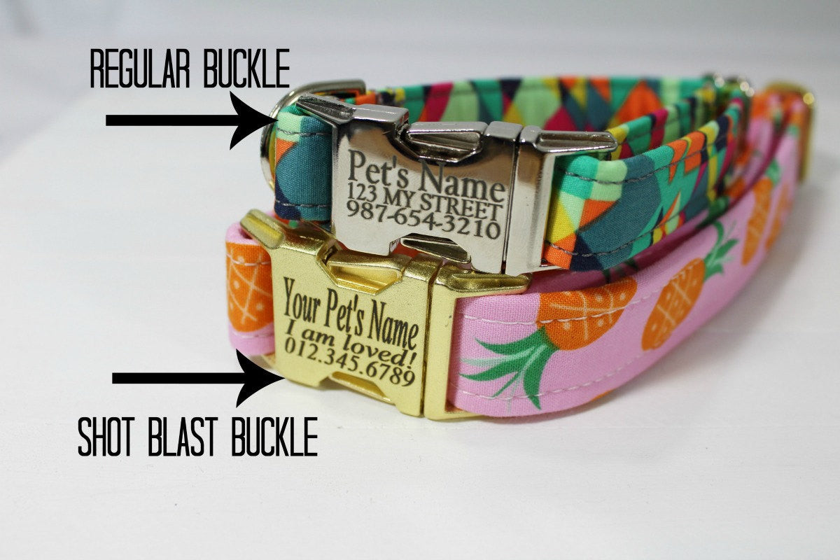 metal buckle dog collar