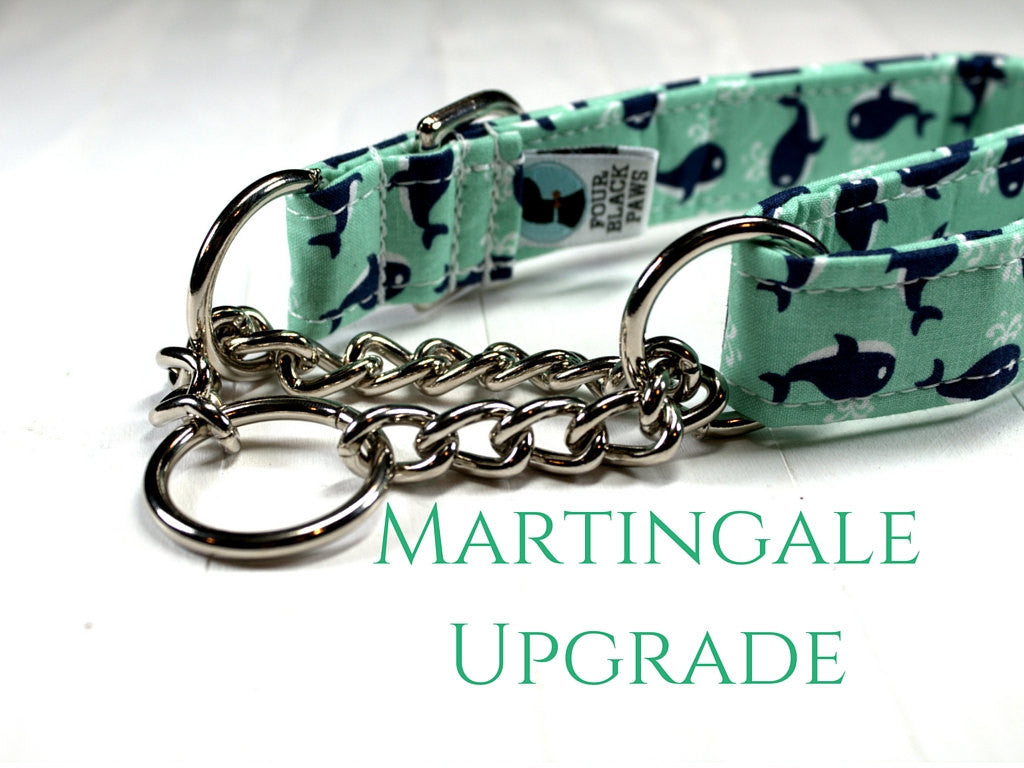 chain martingale collar with buckle