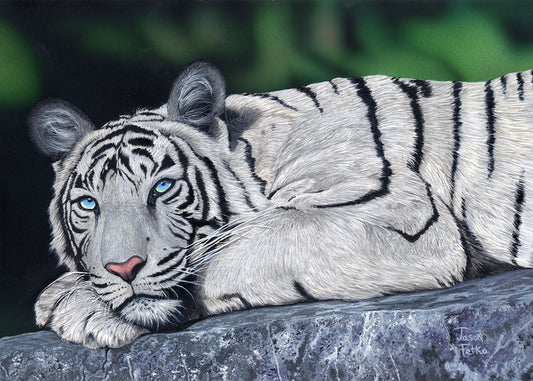 Tiger Painting Canvas Print - Bengal Tiger by Jason Fetko