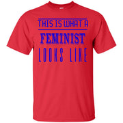 This is What a Feminist Looks Like T-Shirt