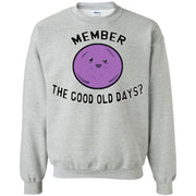 Member the Good Old Days? Member Berries Sweatshirt