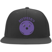 Member Berries Member? Flexfit Cap